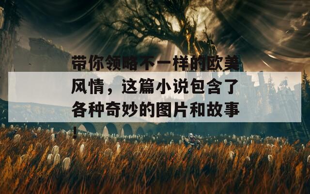 带你领略不一样的欧美风情，这篇小说包含了各种奇妙的图片和故事！