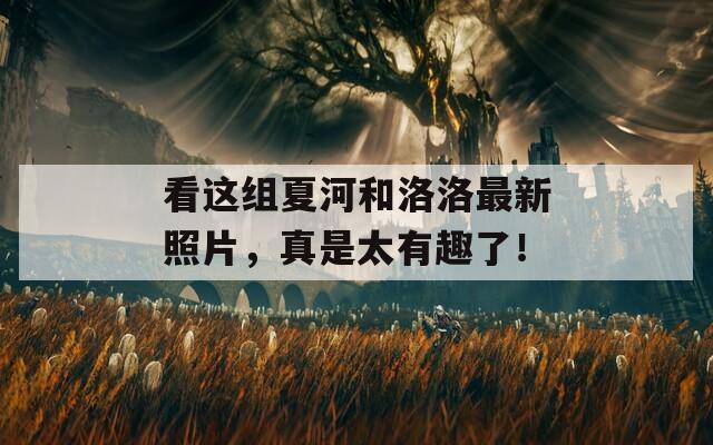 看这组夏河和洛洛最新照片，真是太有趣了！