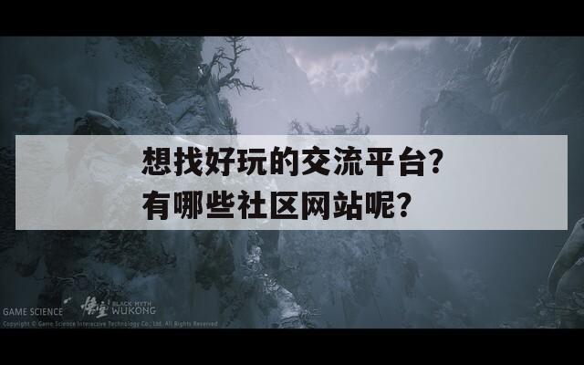 想找好玩的交流平台？有哪些社区网站呢？