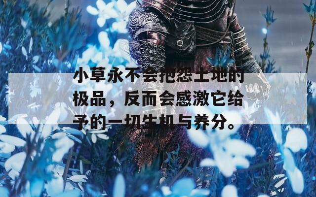 小草永不会抱怨土地的极品，反而会感激它给予的一切生机与养分。