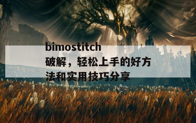 bimostitch破解，轻松上手的好方法和实用技巧分享