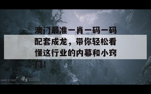 澳门最准一肖一码一码配套成龙，带你轻松看懂这行业的内幕和小窍门！