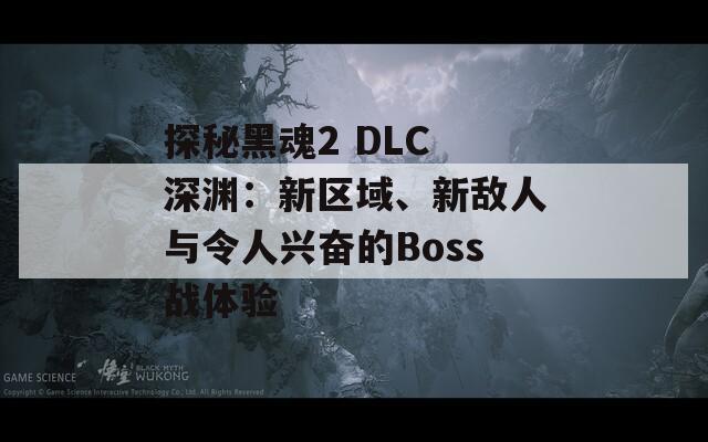 探秘黑魂2 DLC 深渊：新区域、新敌人与令人兴奋的Boss战体验