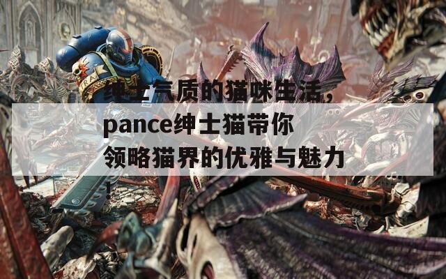 绅士气质的猫咪生活，pance绅士猫带你领略猫界的优雅与魅力！