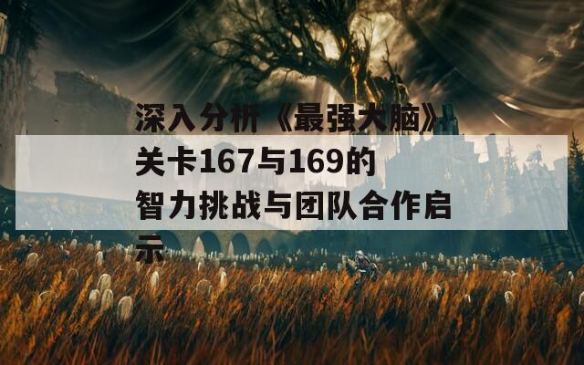 深入分析《最强大脑》关卡167与169的智力挑战与团队合作启示