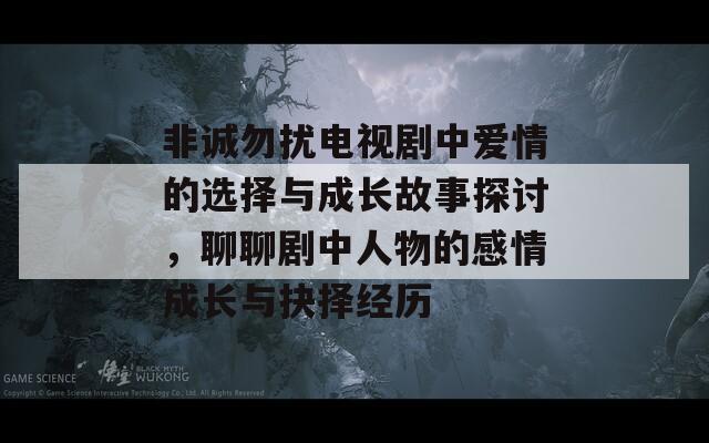 非诚勿扰电视剧中爱情的选择与成长故事探讨，聊聊剧中人物的感情成长与抉择经历