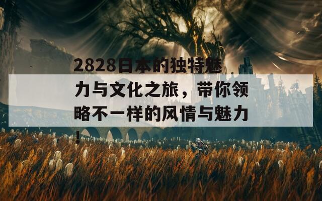 2828日本的独特魅力与文化之旅，带你领略不一样的风情与魅力！