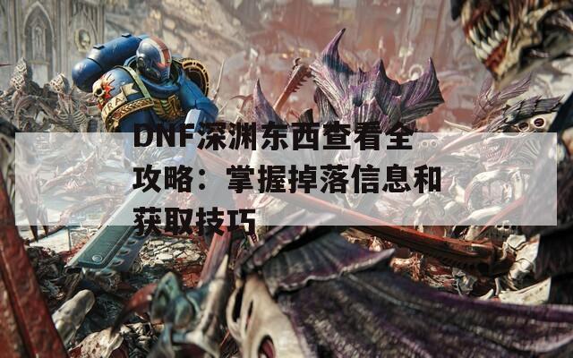 DNF深渊东西查看全攻略：掌握掉落信息和获取技巧