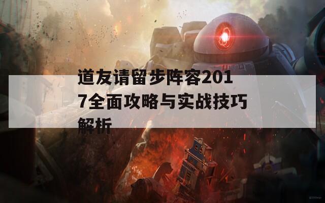 道友请留步阵容2017全面攻略与实战技巧解析