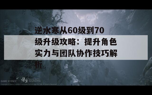 逆水寒从60级到70级升级攻略：提升角色实力与团队协作技巧解析