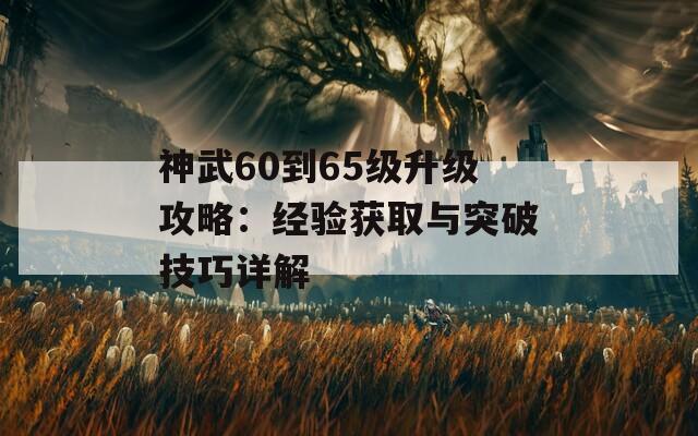 神武60到65级升级攻略：经验获取与突破技巧详解