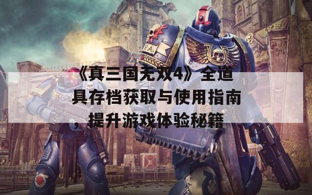 《真三国无双4》全道具存档获取与使用指南，提升游戏体验秘籍