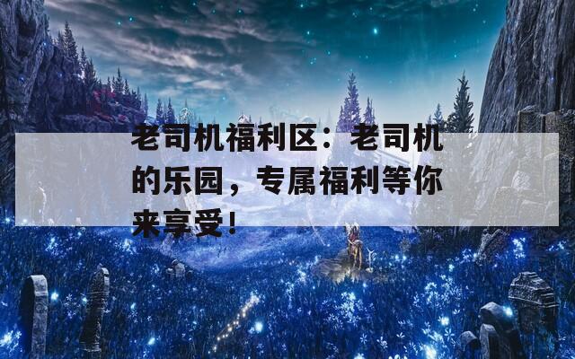 老司机福利区：老司机的乐园，专属福利等你来享受！