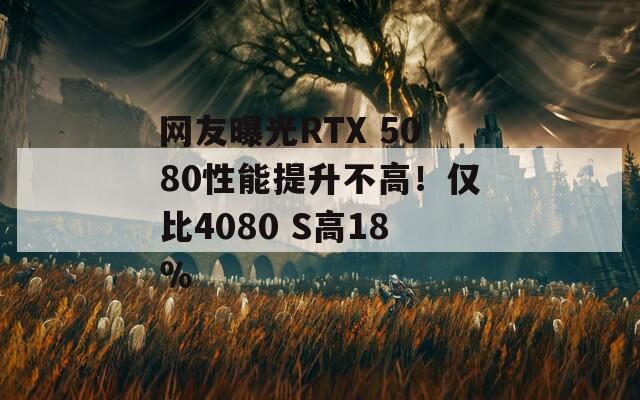 网友曝光RTX 5080性能提升不高！仅比4080 S高18％