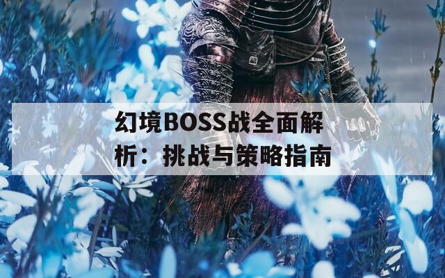 幻境BOSS战全面解析：挑战与策略指南