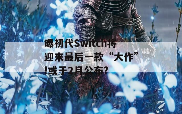 曝初代Switch将迎来最后一款“大作”!或于2月公布?