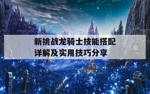 新挑战龙骑士技能搭配详解及实用技巧分享