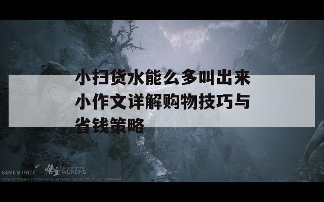 小扫货水能么多叫出来小作文详解购物技巧与省钱策略