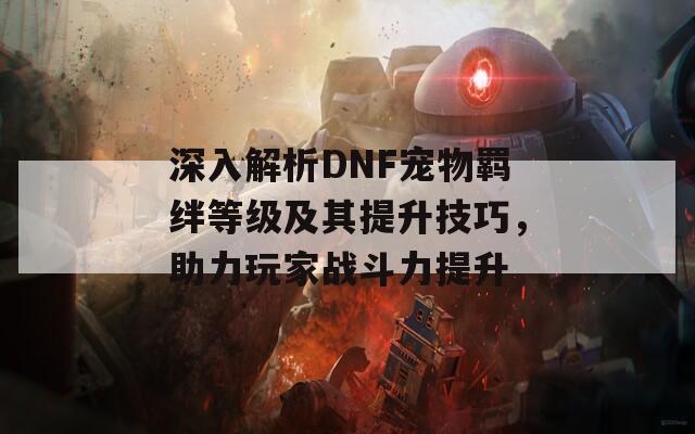 深入解析DNF宠物羁绊等级及其提升技巧，助力玩家战斗力提升